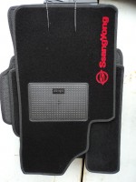 ������� ����������� Ssang young Kyron